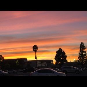 Meet your Posher, Yuka